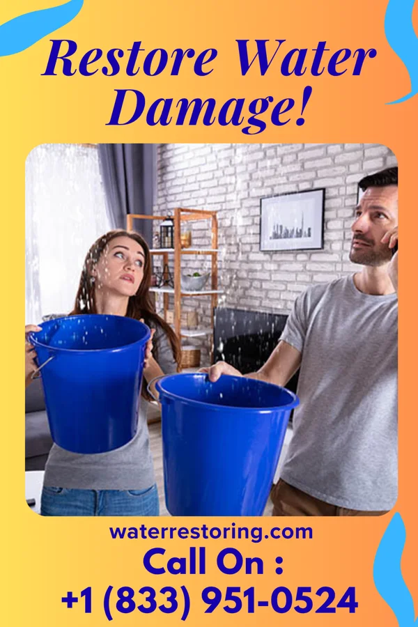 water restoration Modern Water Mitigation Experts Halma