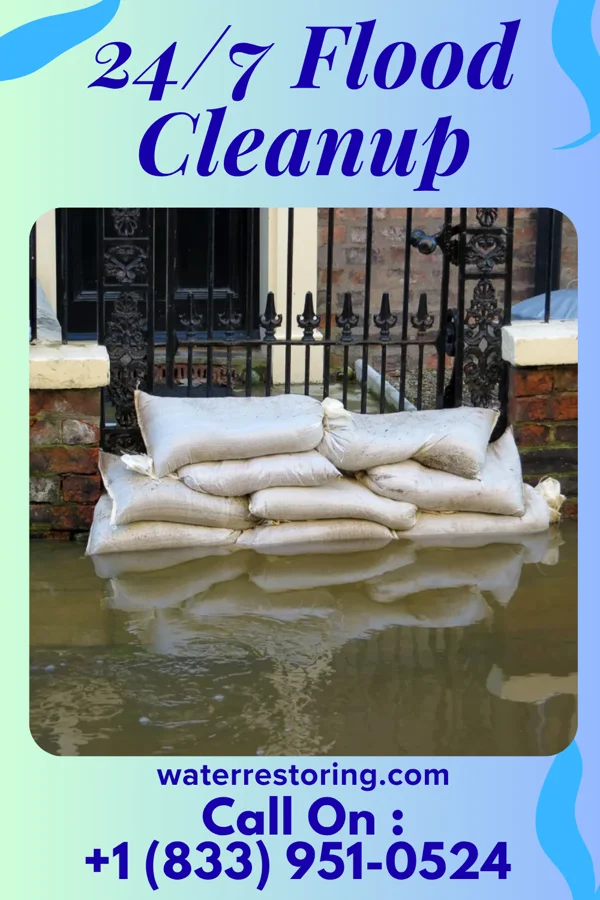 24/7 Flood Cleanup in Halma, MN