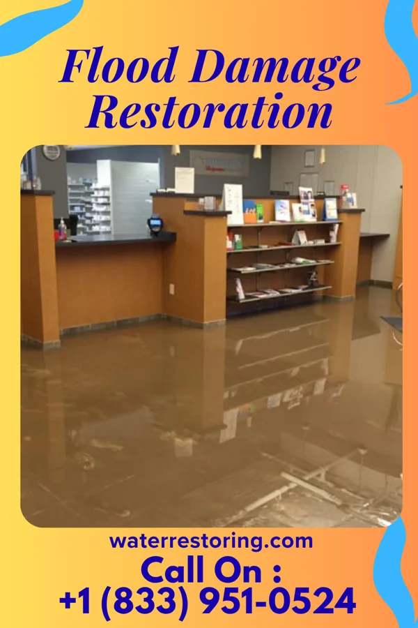 Flood Damage Restoration in Halma, MN