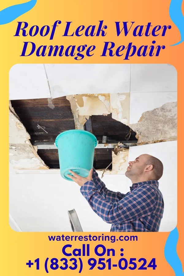 Roof Leak Water Damage Repair in Halma, MN